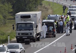 Hungary bắt 4 đối tượng vụ 71 người tị nạn chết ở Áo 