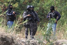 Venezuela cam kết thiết lập an ninh khu vực biên giới với Colombia 