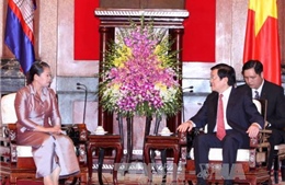 Chủ tịch nước tiếp Phó Thủ tướng Chính phủ Hoàng gia Campuchia 