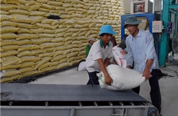 Gỡ nút thắt cho ngành lúa gạo