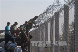 Hàng rào thép gai – Giải pháp khủng hoảng nhập cư?