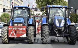 Pháp công bố gói hỗ trợ mới cho nông dân