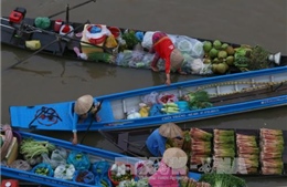 Muôn màu giao thông đường thủy đồng bằng sông Cửu Long