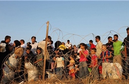 Vì sao người tị nạn Syria không chọn các nước vùng Vịnh?
