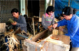 Cơ hội phát triển tre luồng 