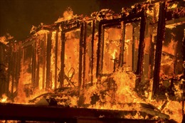 Bang California ban bố tình trạng khẩn cấp do cháy rừng 