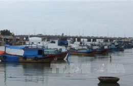 800 tàu cá Khánh Hòa rời vùng ảnh hưởng của bão
