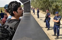 Hungary xây hàng rào chặn người di cư ở biên giới với Romania