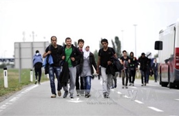 EU lại họp khẩn cấp về khủng hoảng di cư