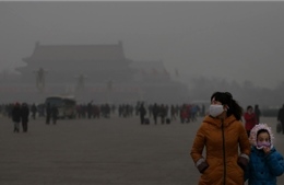 Hơn 3 triệu người chết vì ô nhiễm không khí mỗi năm 