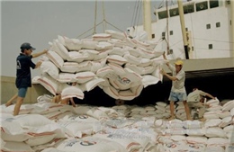 Việt Nam thắng thầu 450.000 tấn gạo xuất sang Philippines 