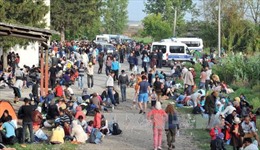 Ngăn người di cư, Croatia đóng 7/8 cửa khẩu biên giới với Serbia