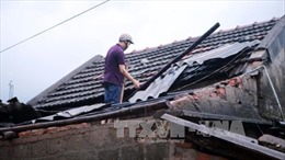 Lốc xoáy càn quét Lâm Đồng, tốc mái nhà, bật gốc cà phê