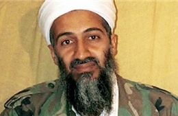 Phụ tá của Bin Laden bị tiêu diệt tại Syria 