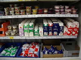 Ngành sữa Estonia điêu đứng trước lệnh cấm nhập khẩu của Nga 