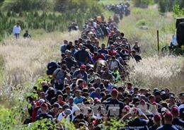 Serbia bắt giữ 1.000 người di cư trái phép tại khu vực biên giới với Hungary