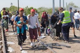 Tương lai của EU trước thử thách cuộc khủng hoảng người tị nạn 