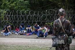 Hungary dựng hàng rào dọc biên giới với Slovenia 