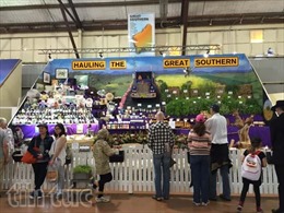Thăm Hội chợ Nông nghiệp Hoàng gia lớn nhất Tây Australia