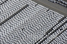  Thụy Điển muốn truy thu thuế gây ô nhiễm của Volkswagen