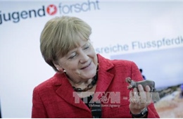 Thủ tướng Đức Merkel có triển vọng giành Nobel Hòa bình 