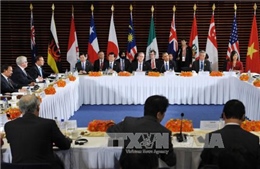 Dư luận quốc tế hoan nghênh thỏa thuận TPP