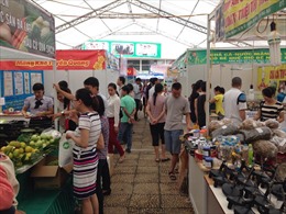 Hội chợ hàng nông sản làng nghề Hà Nội 