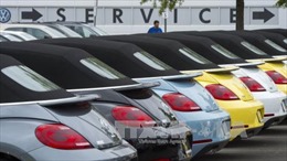 Giám đốc Volkswagen tại Mỹ xin lỗi người tiêu dùng