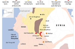 Đồ họa mục tiêu của IS bị Nga phá hủy tại Syria