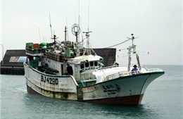 Ba thuyền viên Việt Nam mất tích ngoài khơi biển Nhật Bản