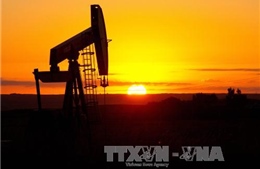 Giá dầu có tuần khởi sắc nhất từ cuối tháng 8