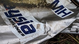 Báo Hà Lan: Máy bay MH17 bị bắn hạ bằng tên lửa BUK 