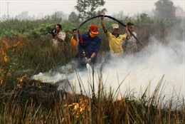 Gốc rễ của vấn đề khói bụi  ở Indonesia