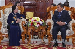 Đồng chí Nguyễn Thị Doan hội kiến Phó Chủ tịch Quốc hội Lào