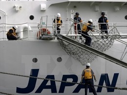 Chưa rõ nguyên nhân 3 thuyền viên mất tích tại vùng biển Nhật Bản