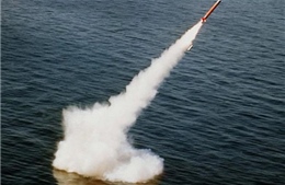 Mỹ và NATO chuẩn bị thử Hệ thống phòng thủ tên lửa 