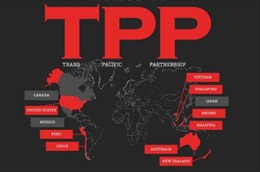 “Nước cờ chiến lược” Mỹ - Nhật mang tên TPP