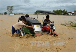 Số người thiệt mạng do bão Koppu tại Philippines tăng mạnh 