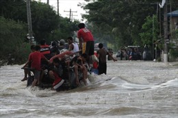 47 người thiệt mạng tại Philippines do bão Koppu
