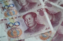 Trung Quốc vẫn can thiệp thị trường để hỗ trợ đồng NDT