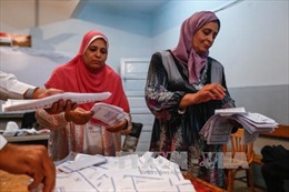 Kết quả chính thức bầu cử Quốc hội Ai Cập 