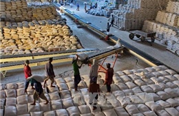 Indonesia nhập khẩu gạo Việt Nam và Thái Lan