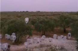 IS dùng bom bóng bay phá hủy chiến đấu cơ Nga