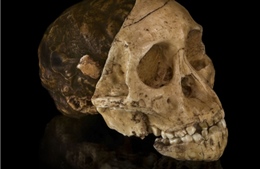 Những bí ẩn chưa giải mã của thế kỷ XX  