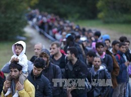 700 người tị nạn rời bang Niedersachsen của Đức