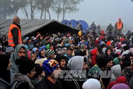 EU và 3 nước Balkan họp khẩn về khủng hoảng di cư