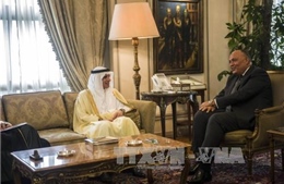 Ai Cập và Saudi Arabia đồng quan điểm về vấn đề Syria 