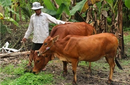 Hỗ trợ đồng bào Khmer thoát nghèo