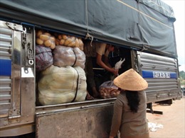 Chợ nông sản Đà Lạt "cấm cửa" khoai tây Trung Quốc
