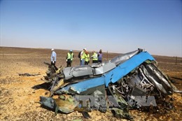 Nhiều giả thuyết mới về vụ máy bay Nga rơi tại Ai Cập